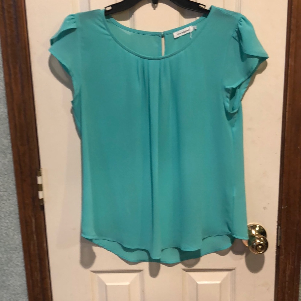 Sheer blouse